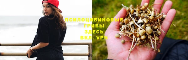 кокаин премиум Алексин
