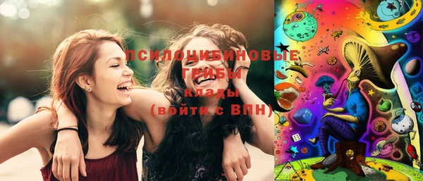 стафф Алзамай