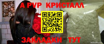 соль ск Новодвинск