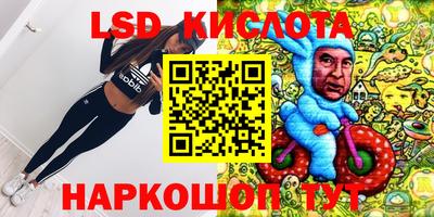 соль ск Новодвинск