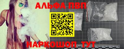 соль ск Новодвинск