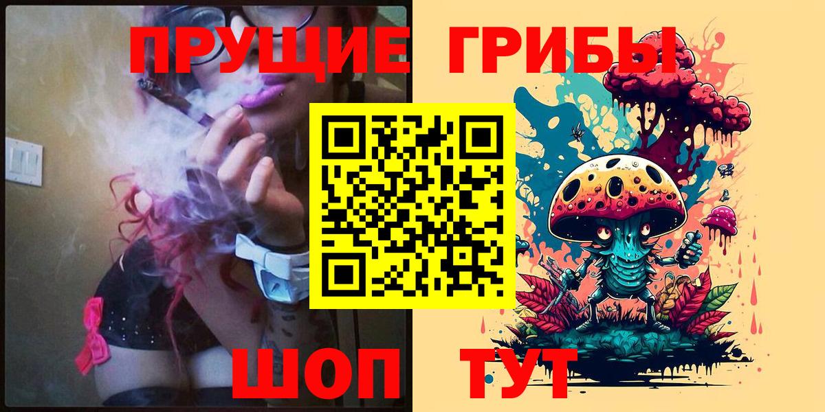 Галлюциногенные грибы Psilocybine cubensis Тулун